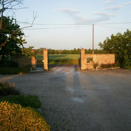 Agriturismo La Cascinetta Pieve di Cento Zewnętrze zdjęcie